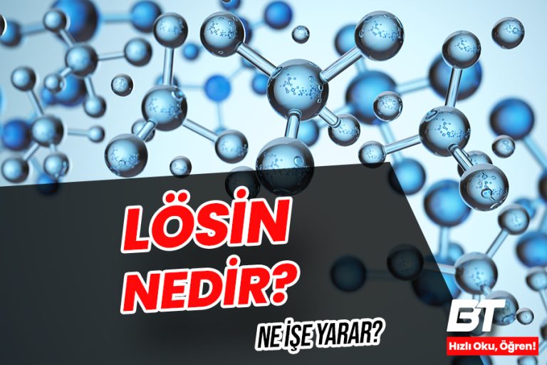Lösin Nedir? Ne İşe Yarar? Nasıl Kullanılır?