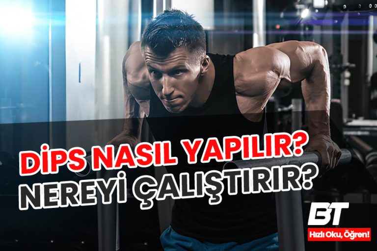 Dips Nedir? Nereyi Çalıştırır?